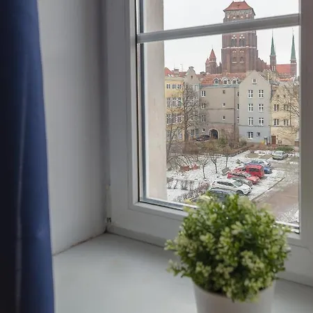 Pokoj Zolty W Mieszkaniu Ze Wspolna Lazienka I Kuchnia