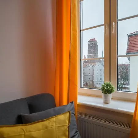 Pokoj Zolty W Mieszkaniu Ze Wspolna Lazienka I Kuchnia Gdańsk
